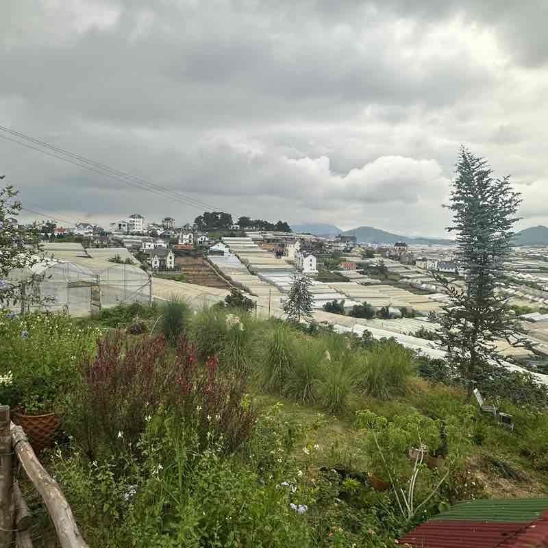 Peekapoo Ngoan Hiền post 1