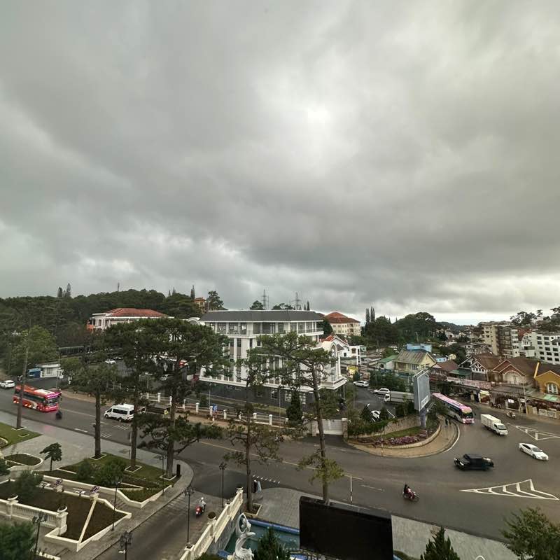 Peekapoo Ngoan Hiền post 1