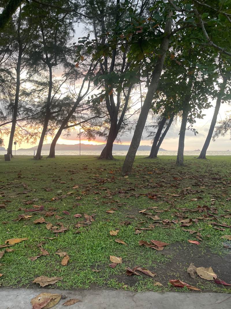 walking near me in Likas Bay Public Park in spring