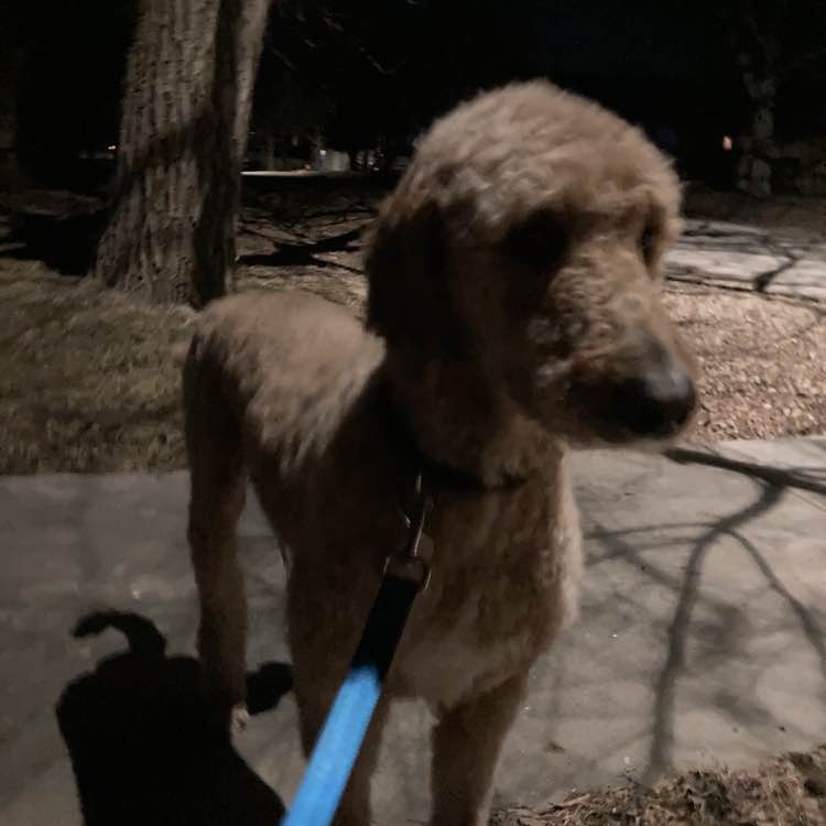 Off The Chain Madilynn post image