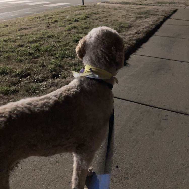 Off The Chain Madilynn post image