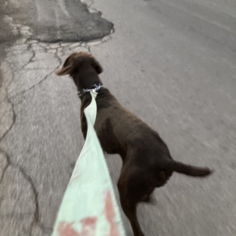 Off The Chain Madilynn post image