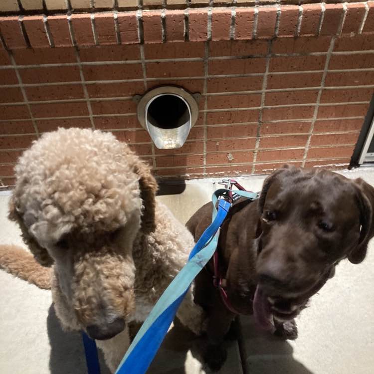 Off The Chain Madilynn post image