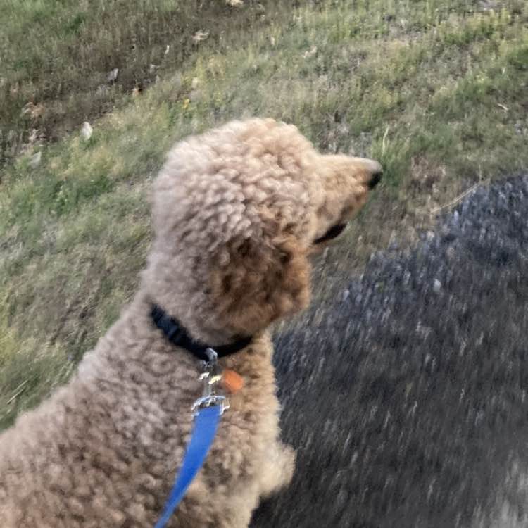 Off The Chain Madilynn post image