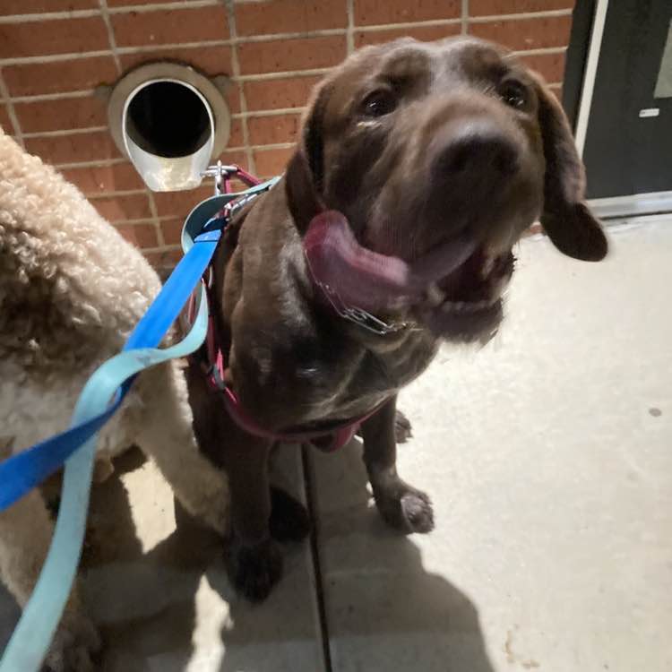 Off The Chain Madilynn post image