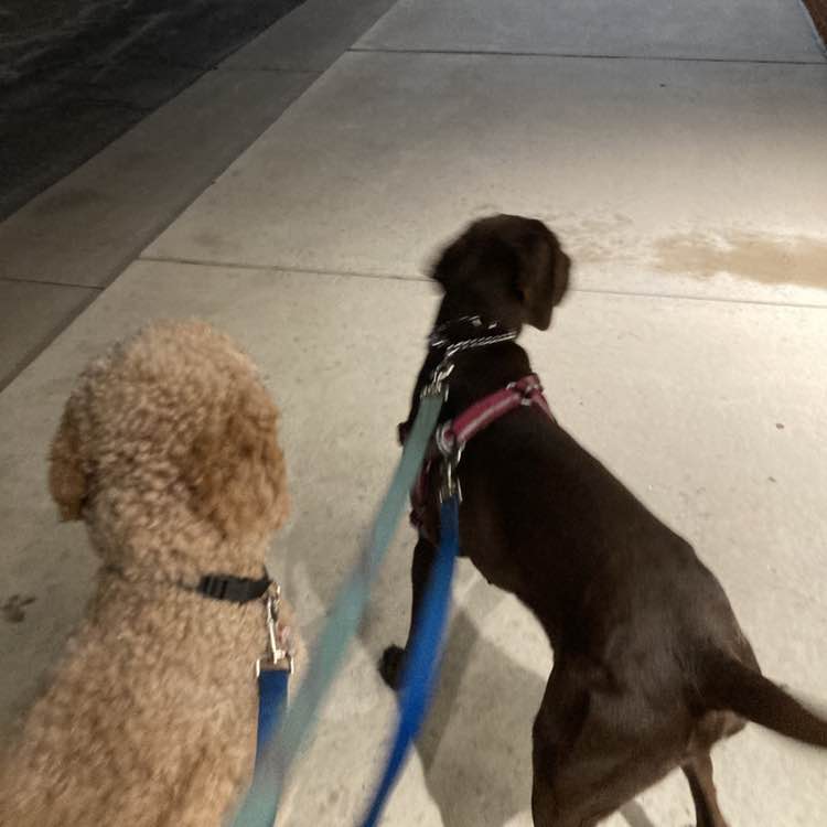 Off The Chain Madilynn post image