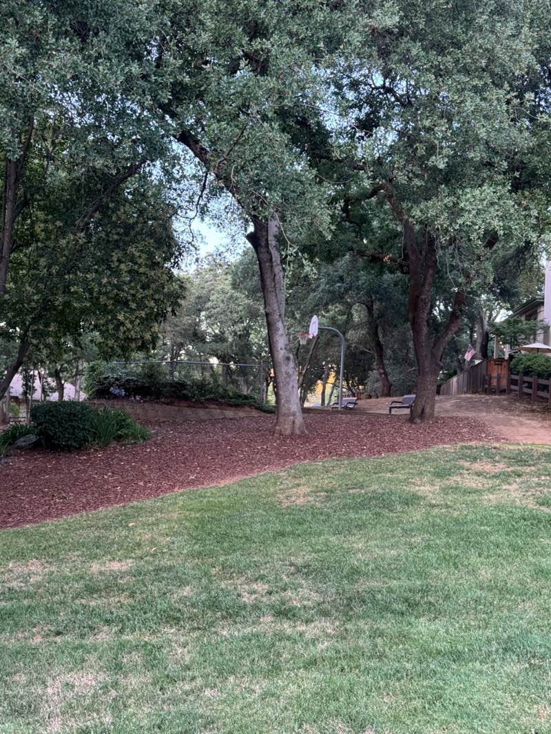 walking near me in Parkview Heights Park in summer