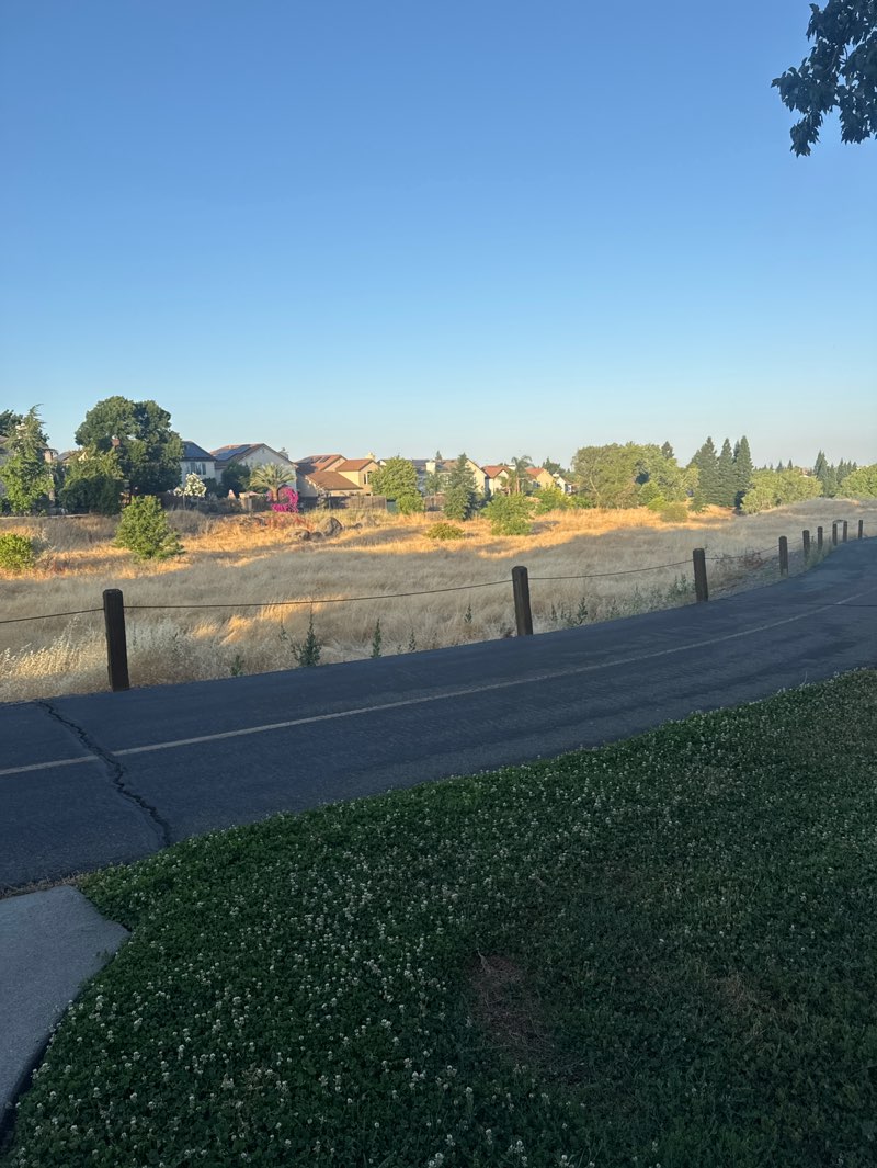 walking near me in Night Ridge Park in summer