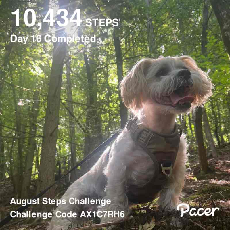 keira broderick post 1