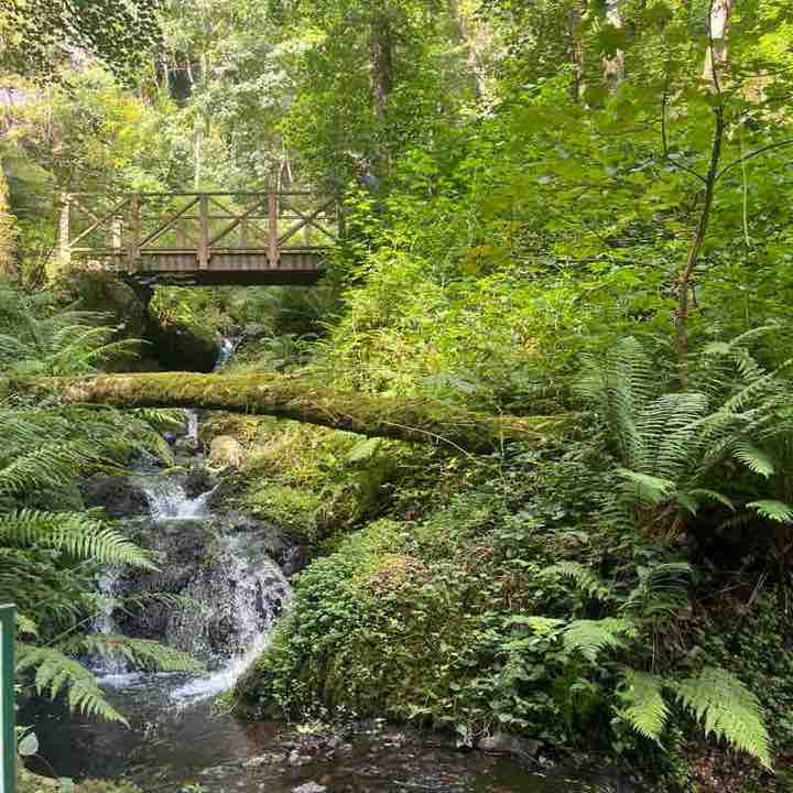 keira broderick post 3