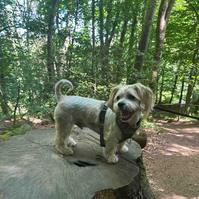 c0nta1nedx999 post 3