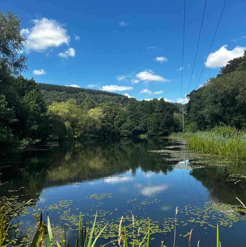 c0nta1nedx999 post 2