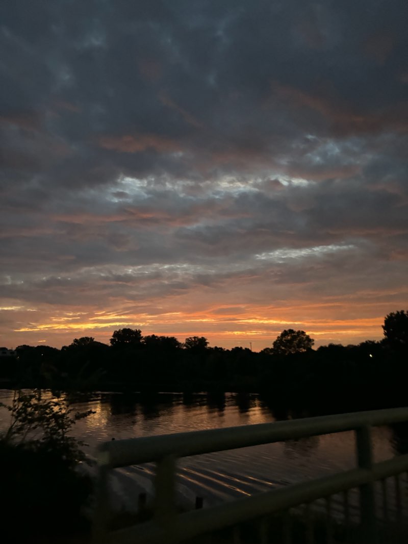 walking near me in Kollen Park in winter