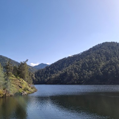 SmartHead: Из Казани в Бангкок Диана post image