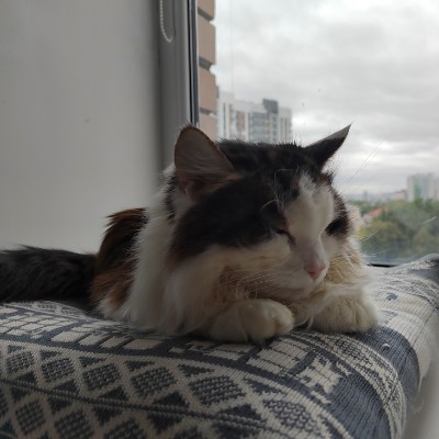 пробная Aliya post image