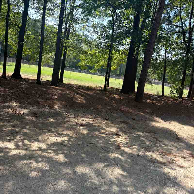 Arlen post 1
