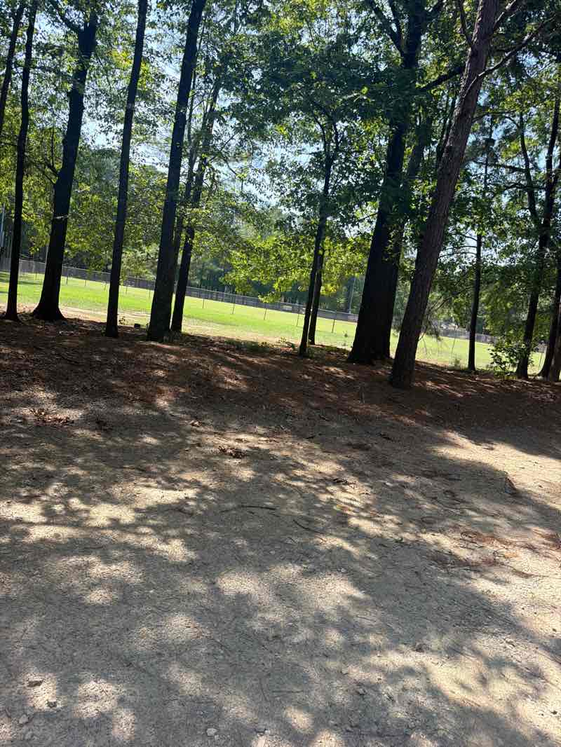 walking near me in Arnette Park in summer