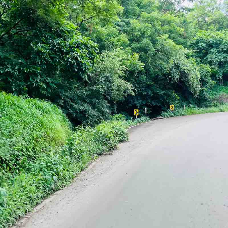 Occams Walkathon - Group B Swapi Pawar post image