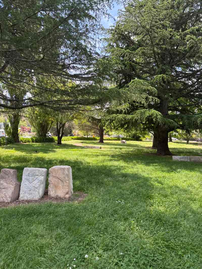 walking near me in Memorial Park in spring