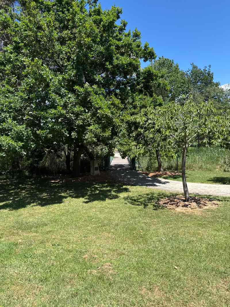 walking near me in Venables Park in spring