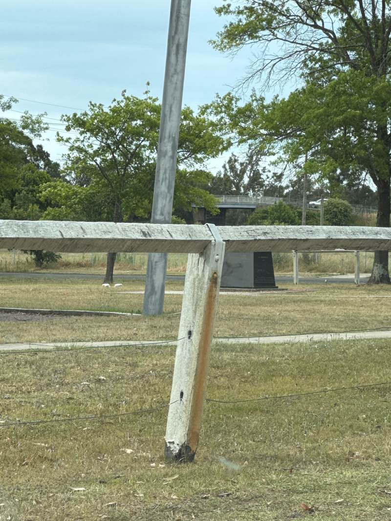 walking near me in Emmett Park in spring