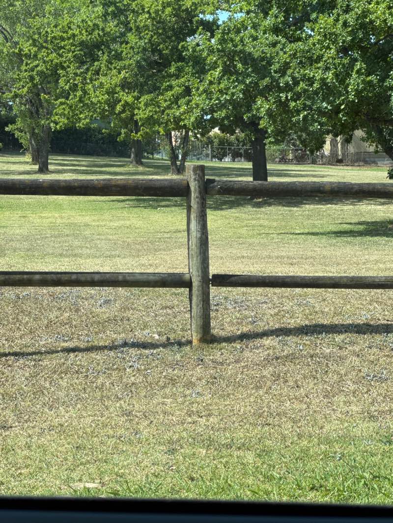 walking near me in Red Bank Reserve in summer