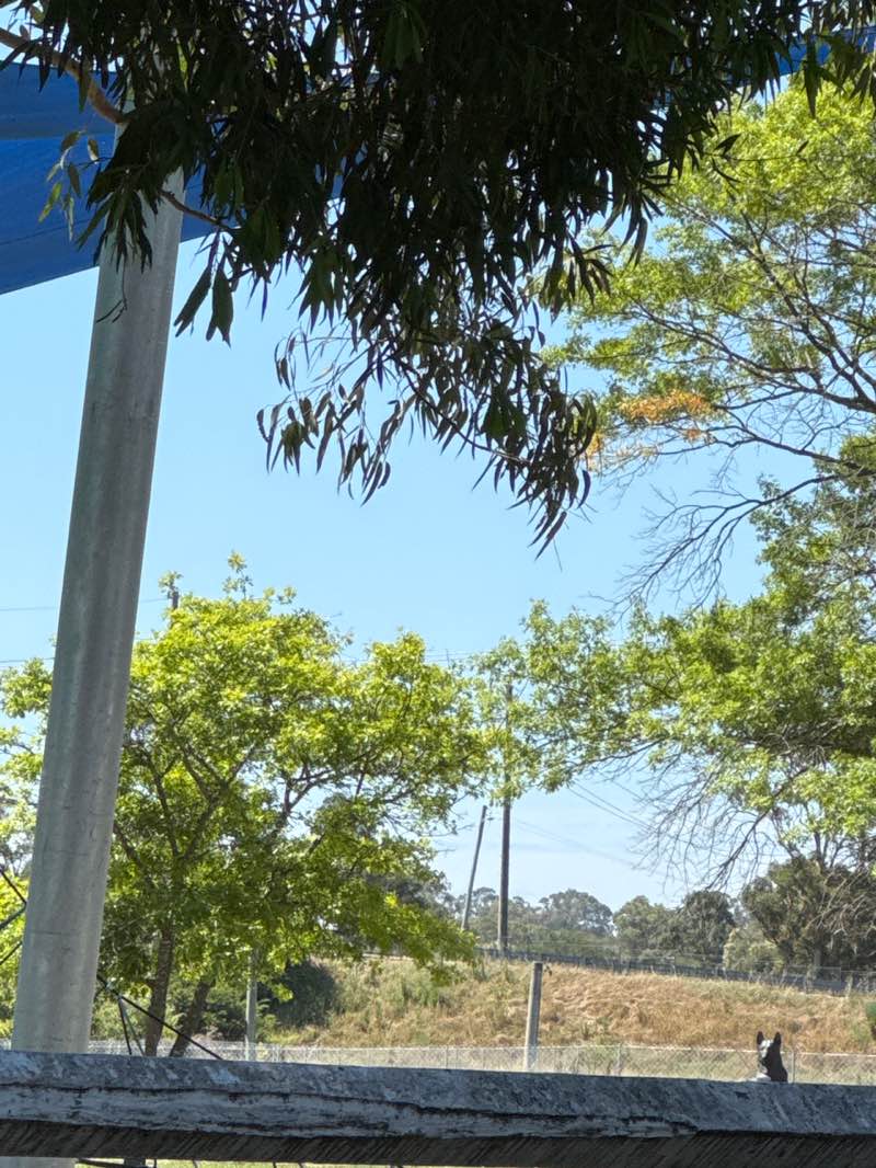 walking near me in Emmett Park in summer