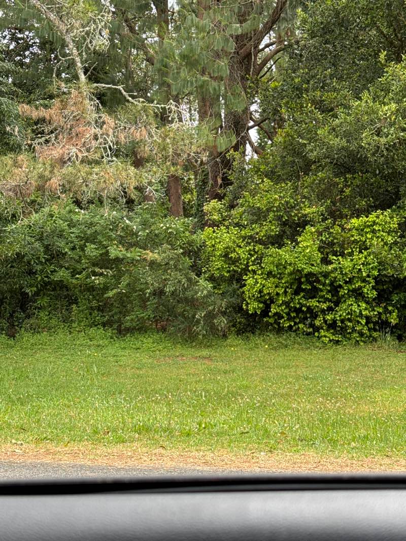 walking near me in Robertson Nature Reserve in summer