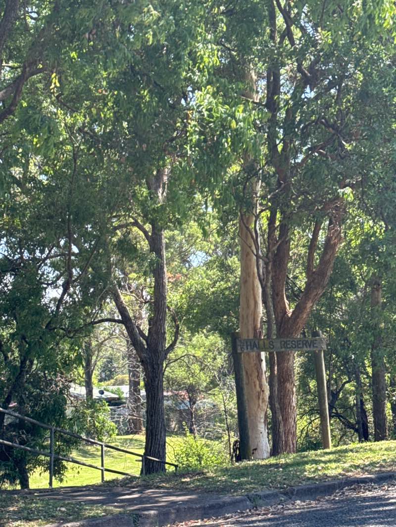 walking near me in Hall's Reserve in summer