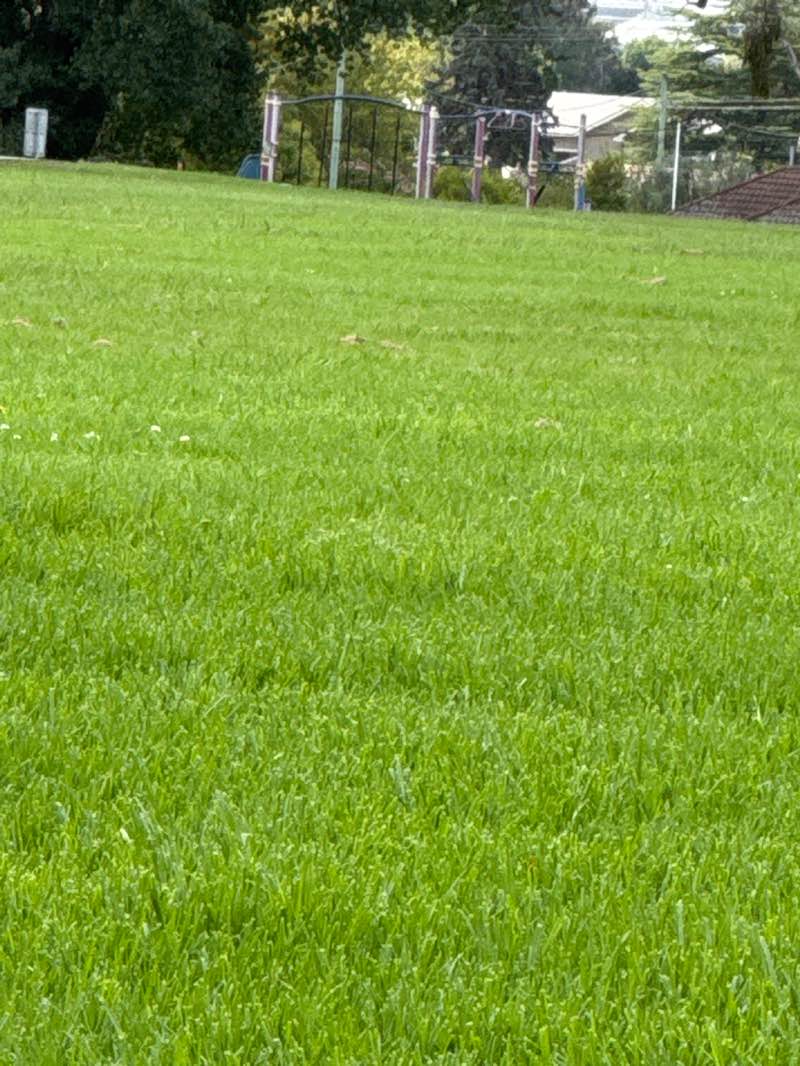 walking near me in Loseby Park in summer