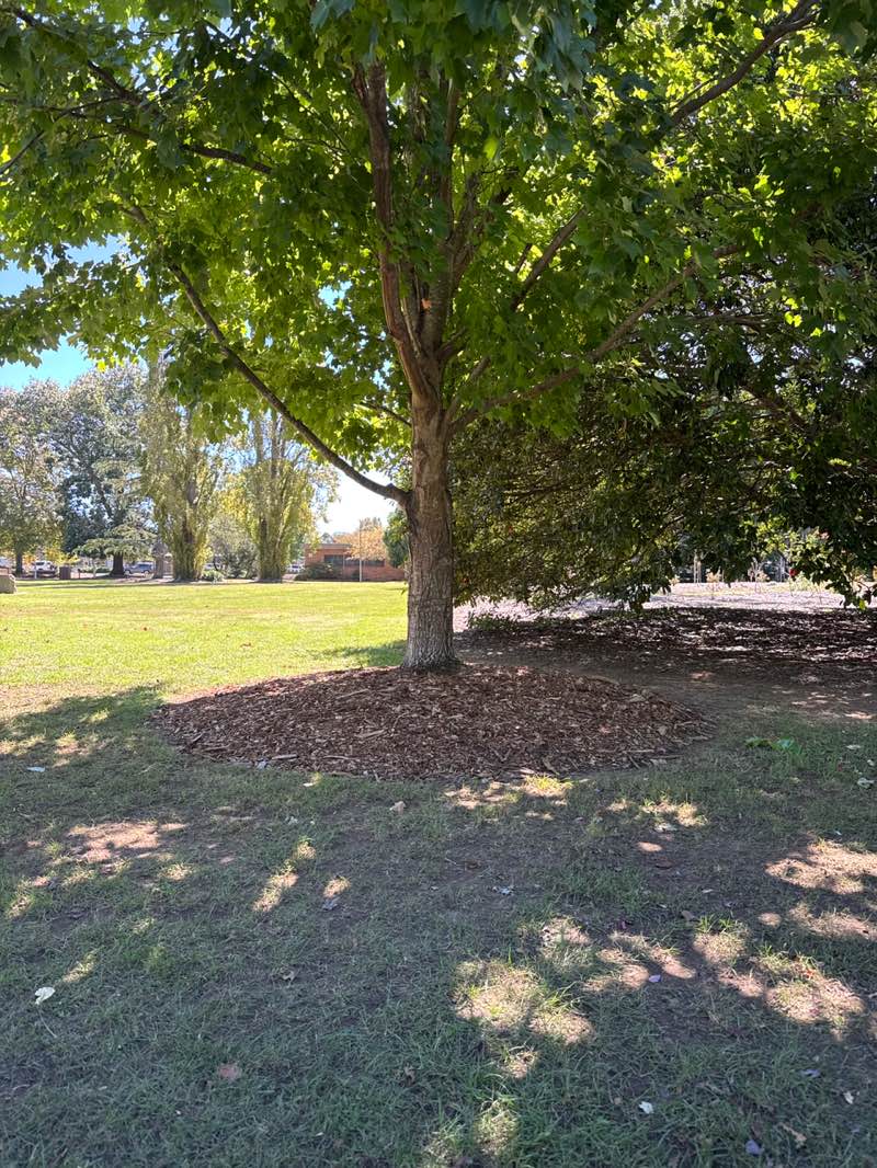 walking near me in Winifred West Park in autumn