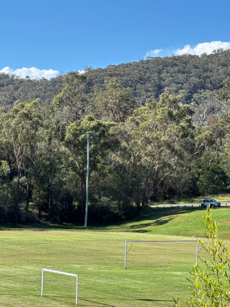 walking near me in Ironmines Oval in autumn