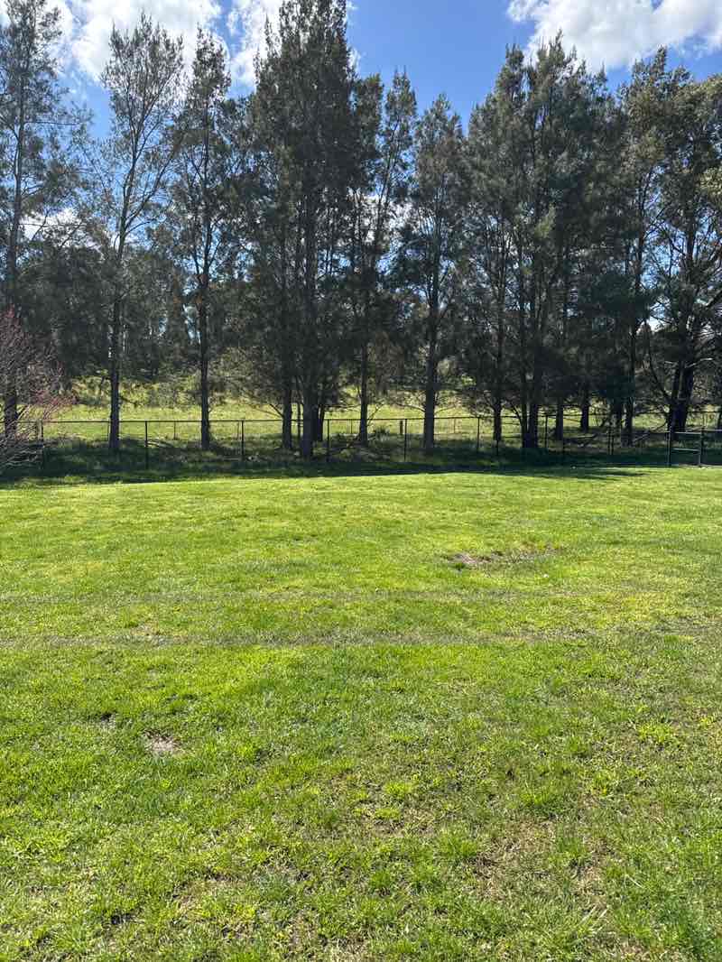 walking near me in David Wood Playing Fields in spring