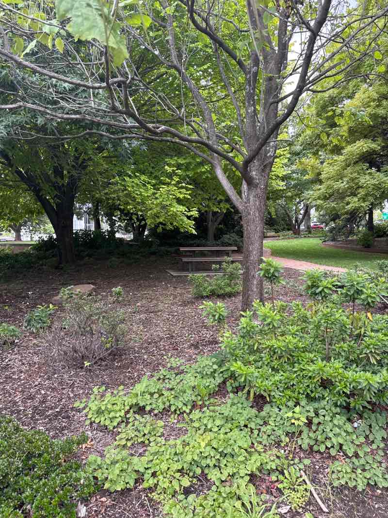 walking near me in Lions Park in summer