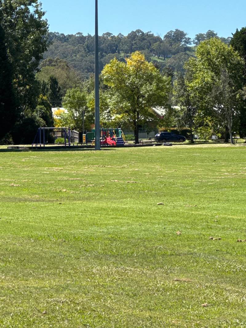 walking near me in Stephens Park in autumn