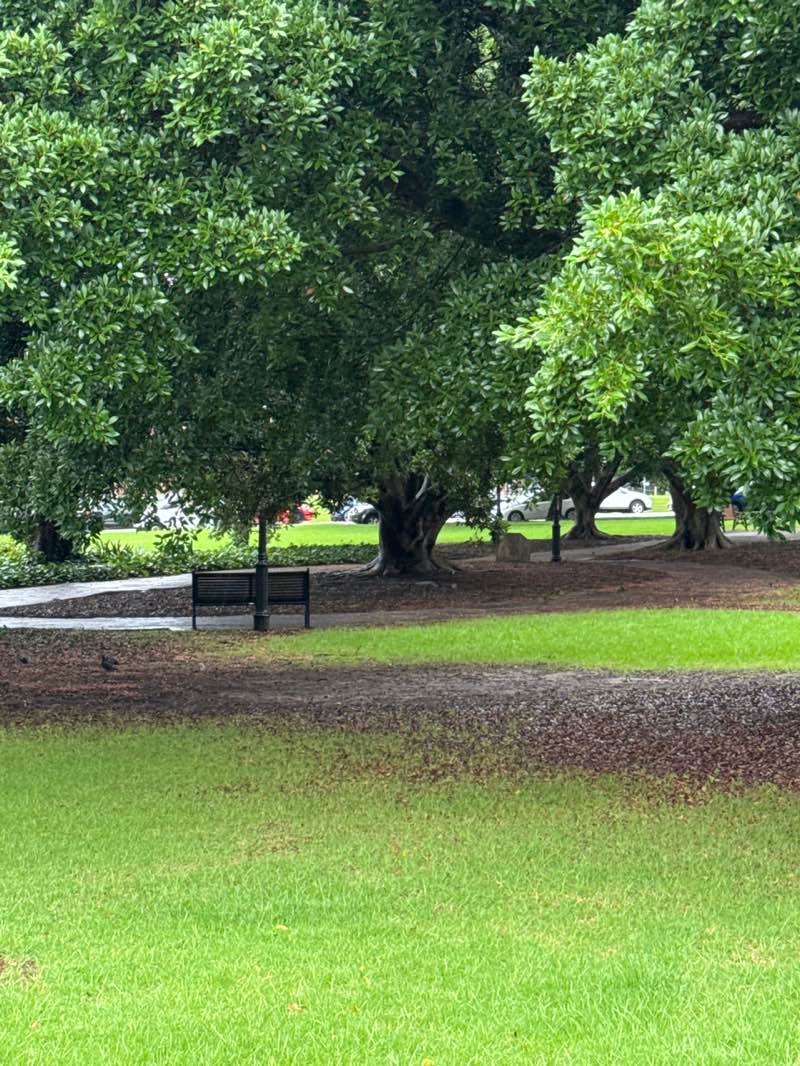 walking near me in Market Square in autumn