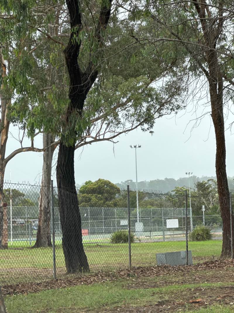 walking near me in Thirlmere Sportsground in autumn