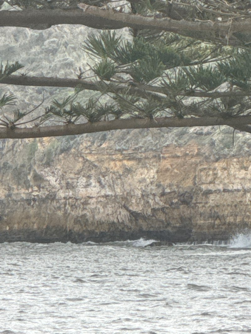 walking near me in Port Campbell Coastal Reserve in winter