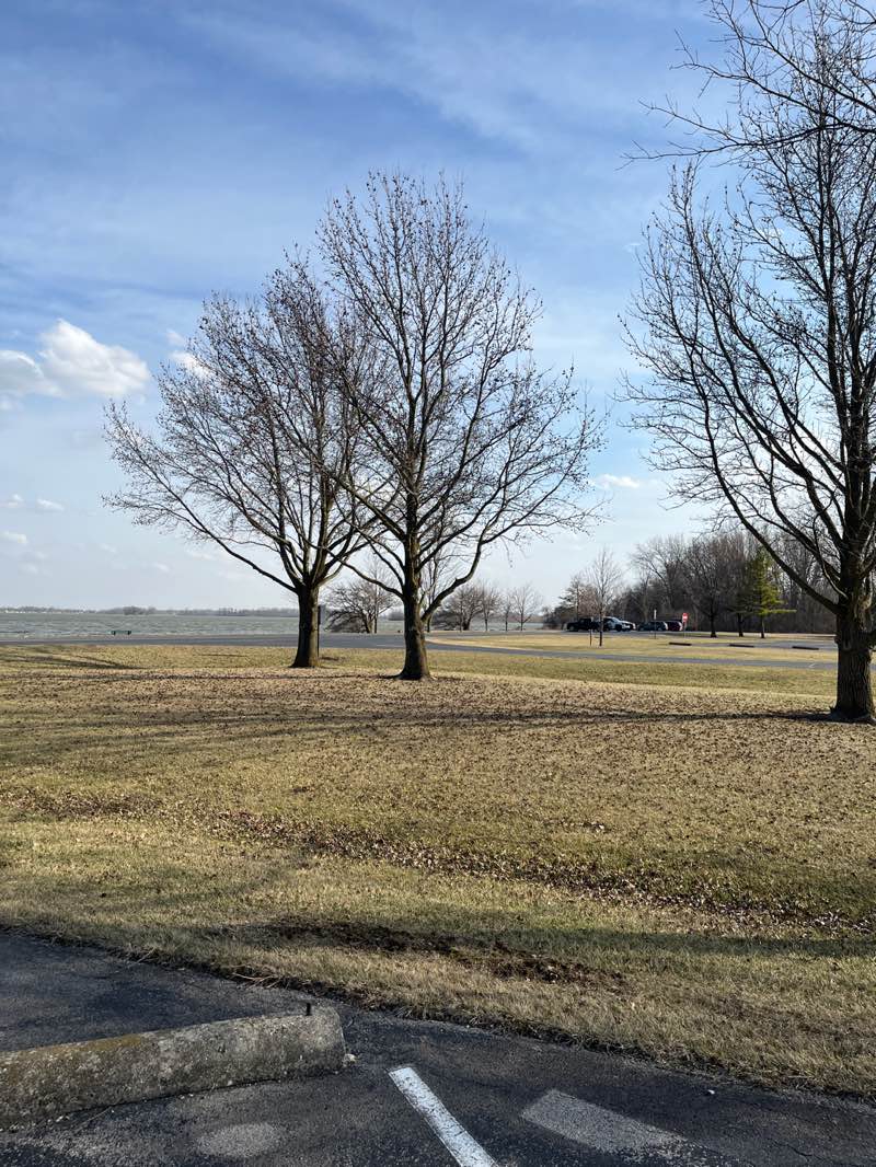 walking near me in West Bank Park in spring