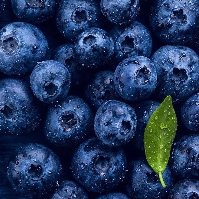 Татьяна Розова profile