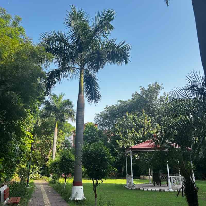 Occams Walkathon - Group C Soniya Ghosh post image