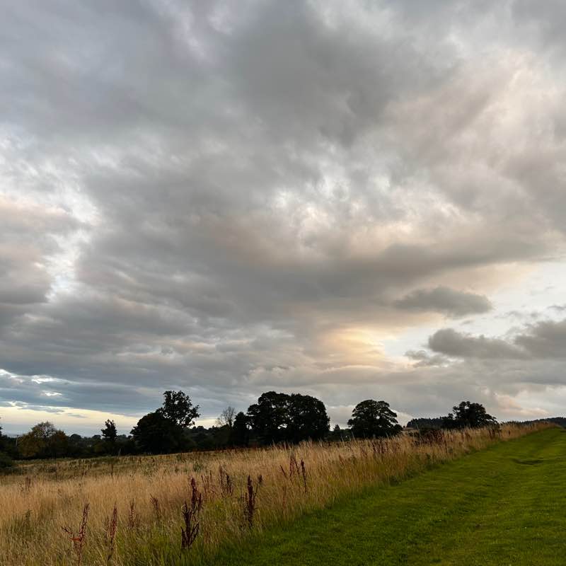 Occams Walkathon - Group A Soniya Ghosh post image