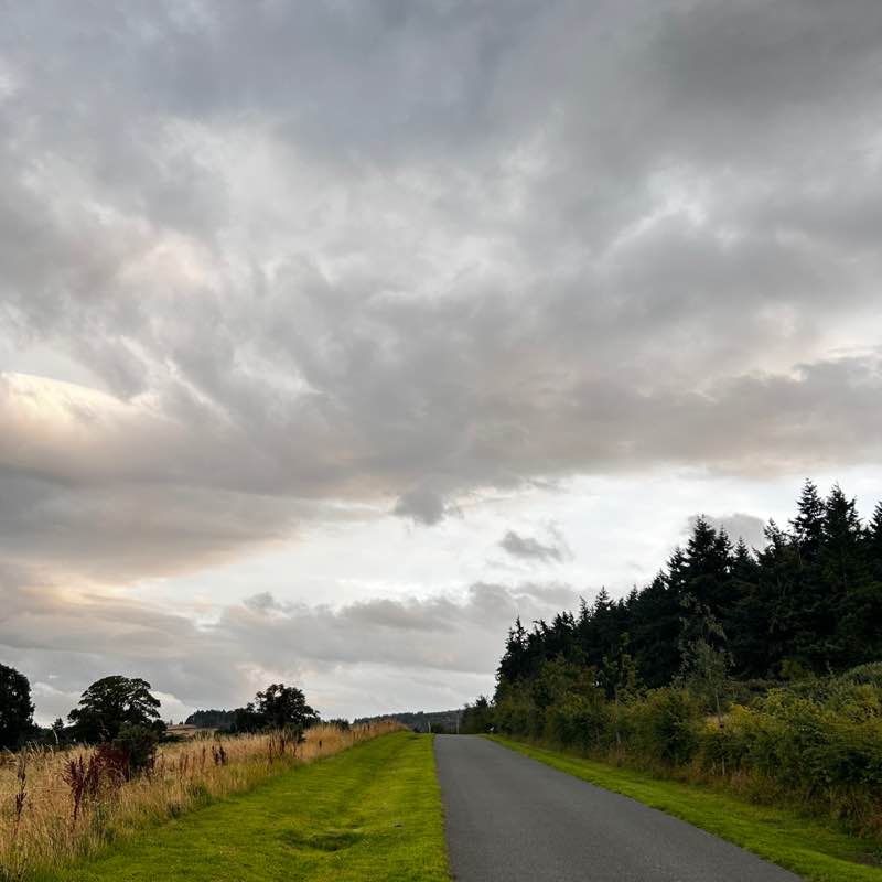 Occams Walkathon - Group C Soniya Ghosh post image