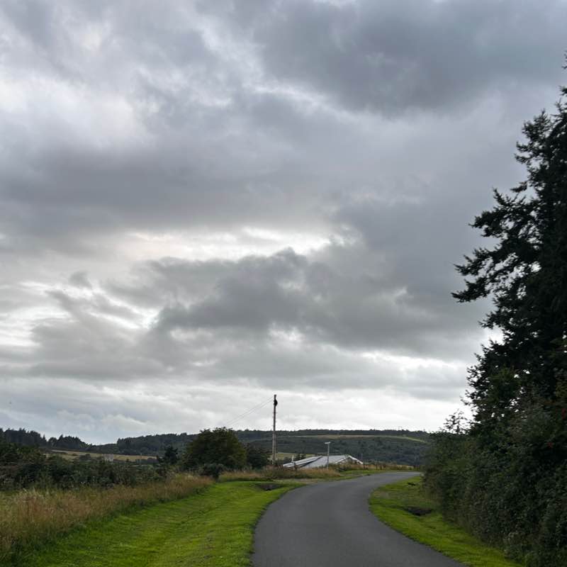 Occams Walkathon - Group A Soniya Ghosh post image