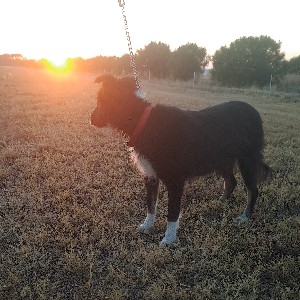 Ingrid Bailey profile