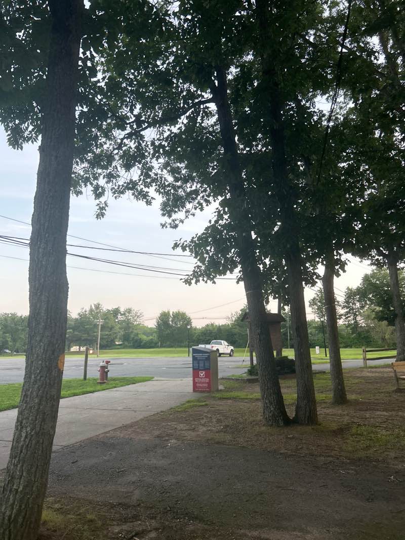 walking near me in Woodlot Park in summer