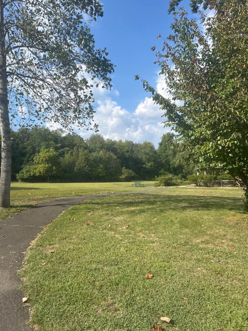 walking near me in Beachwoods Park in autumn
