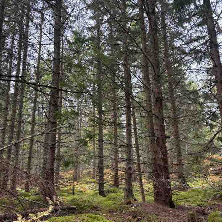 You can do it group irene post image