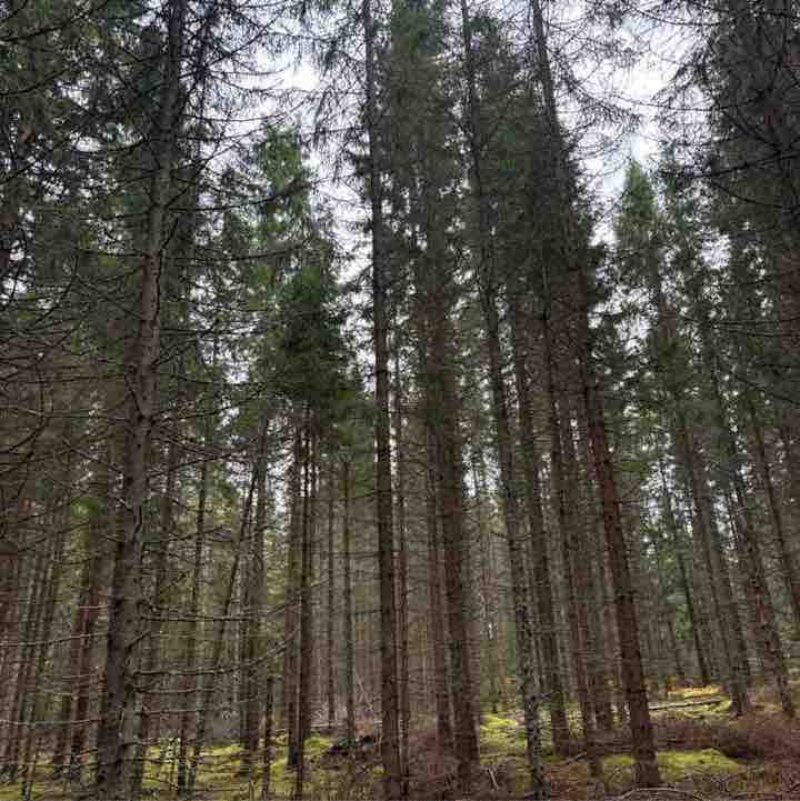 You can do it group irene post image