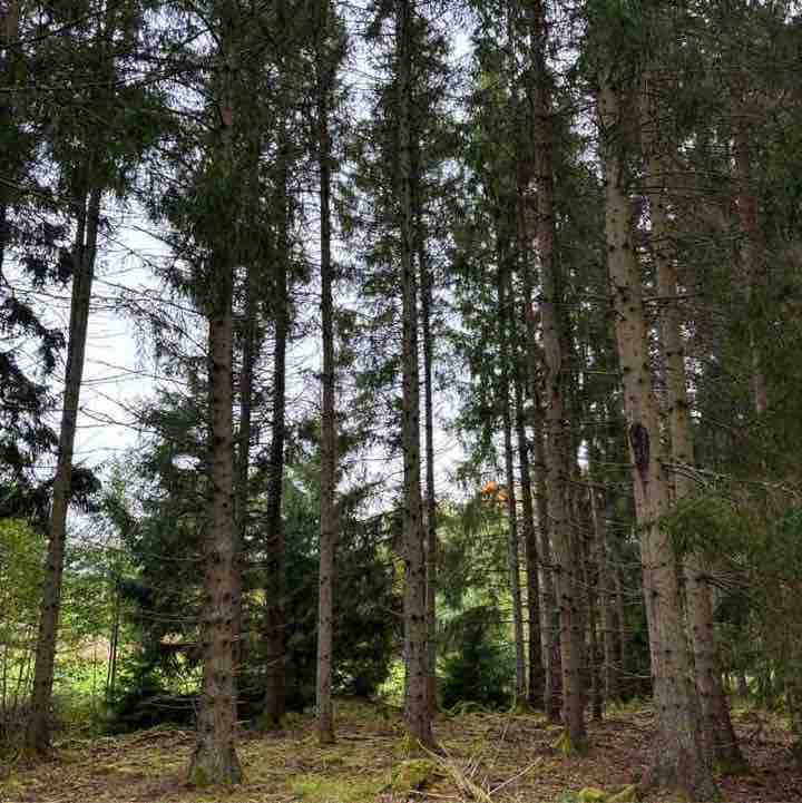 You can do it group irene post image